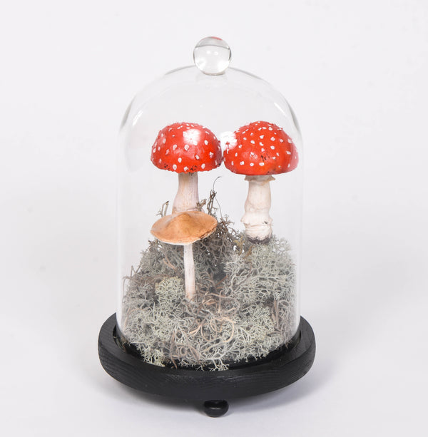 Mushrooms Under Glass Dome