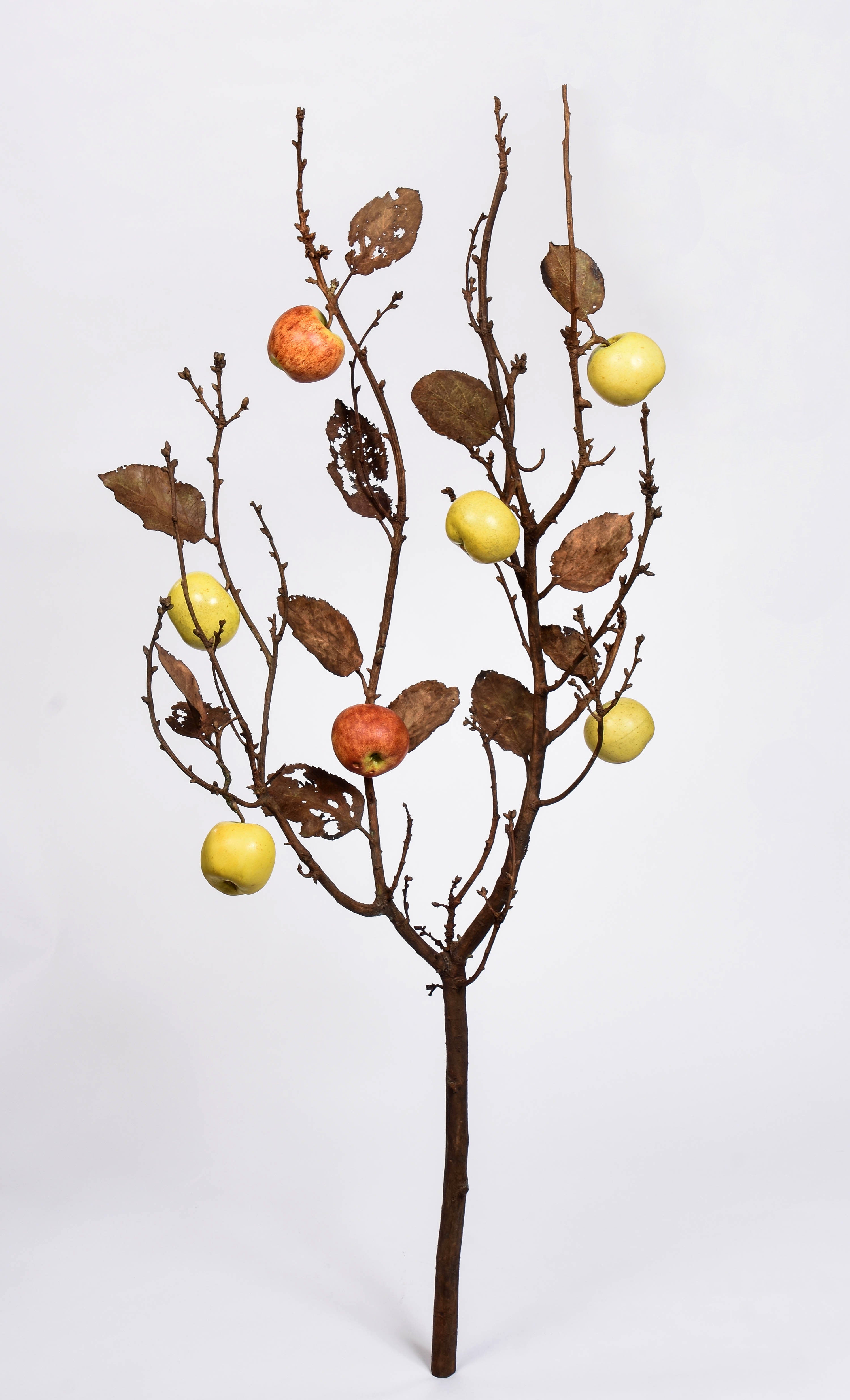 Bronze and Porcelain Apple Branch