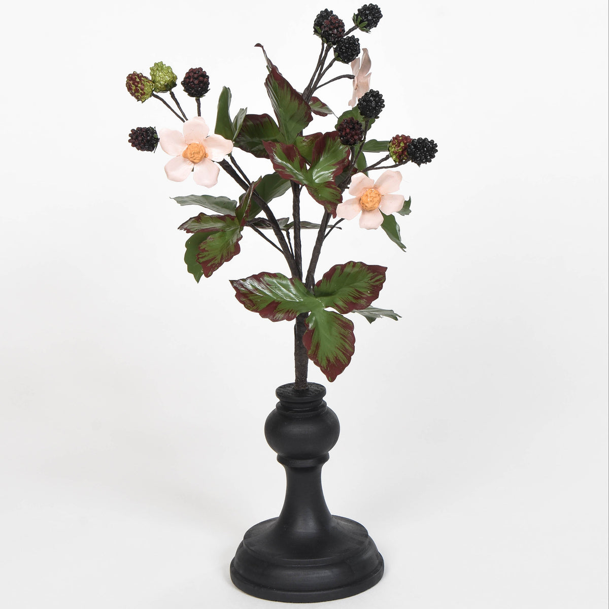 Botanical Blackberry Specimen 