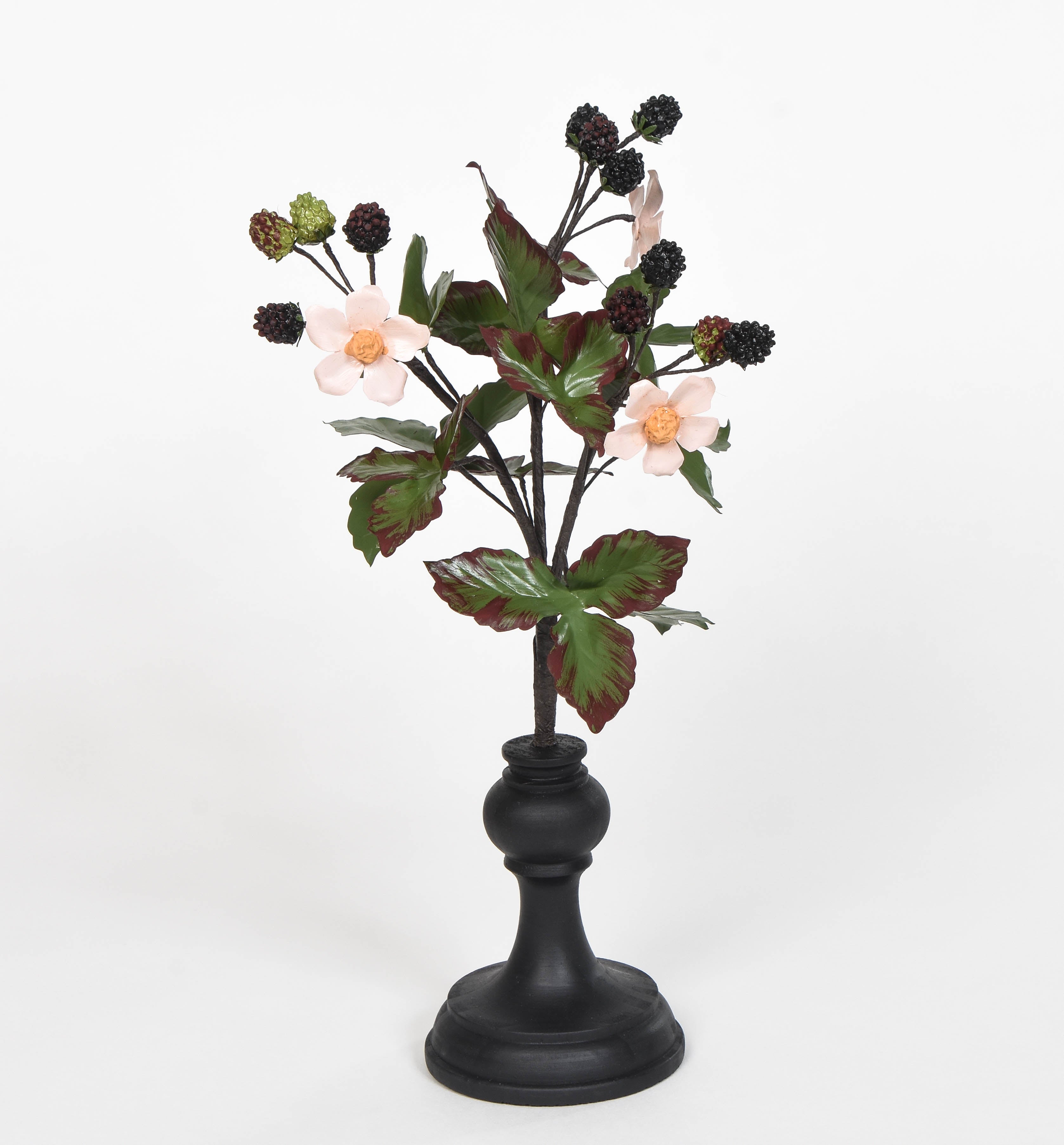 Botanical Blackberry Specimen 
