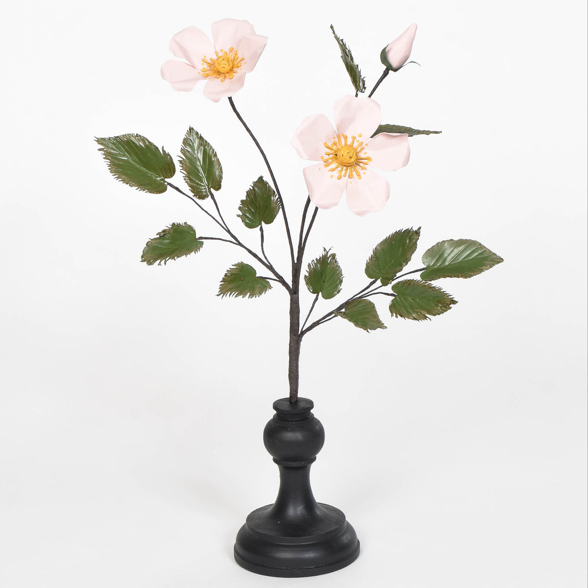 Eglantine Rose Specimen