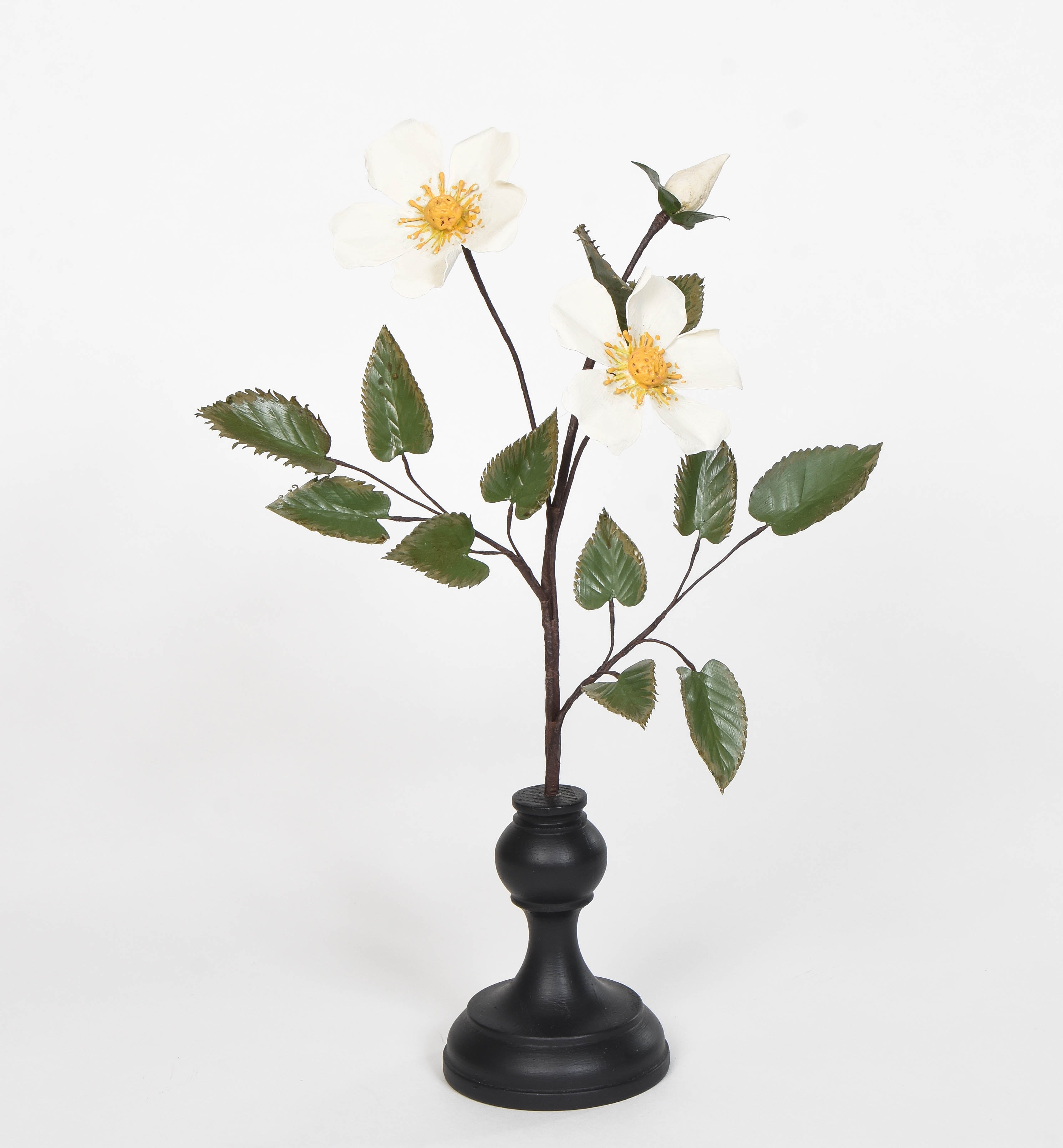 Eglantine Rose Specimen
