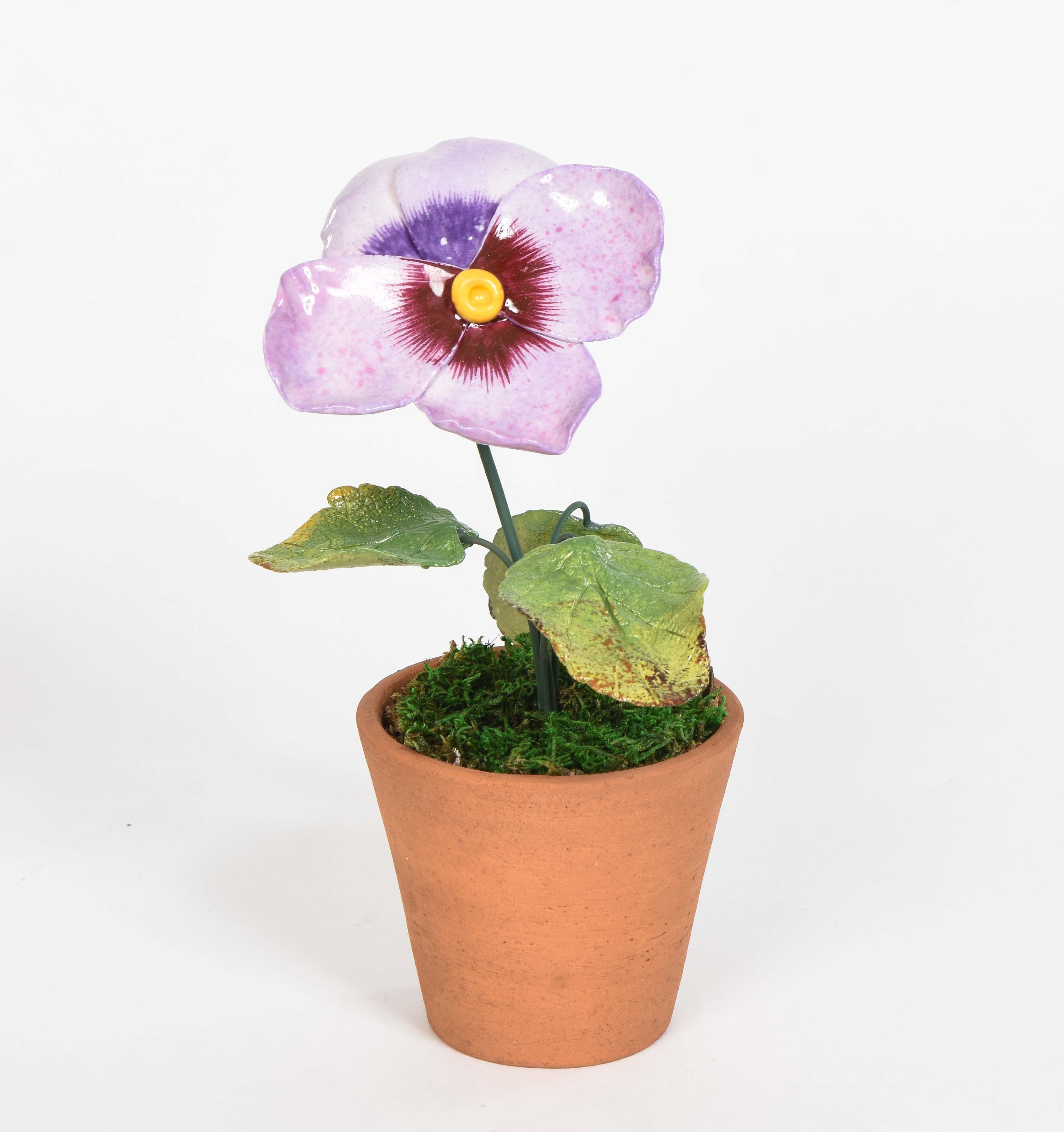 Porcelain Pansy