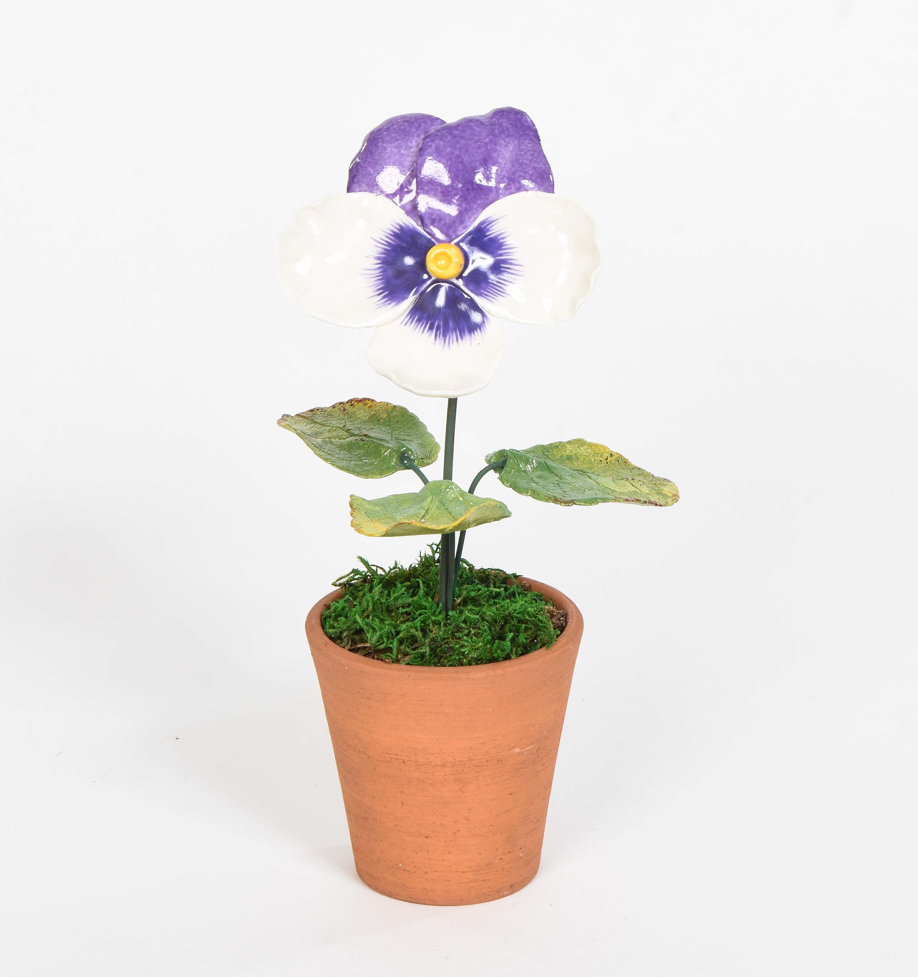 Porcelain Pansy