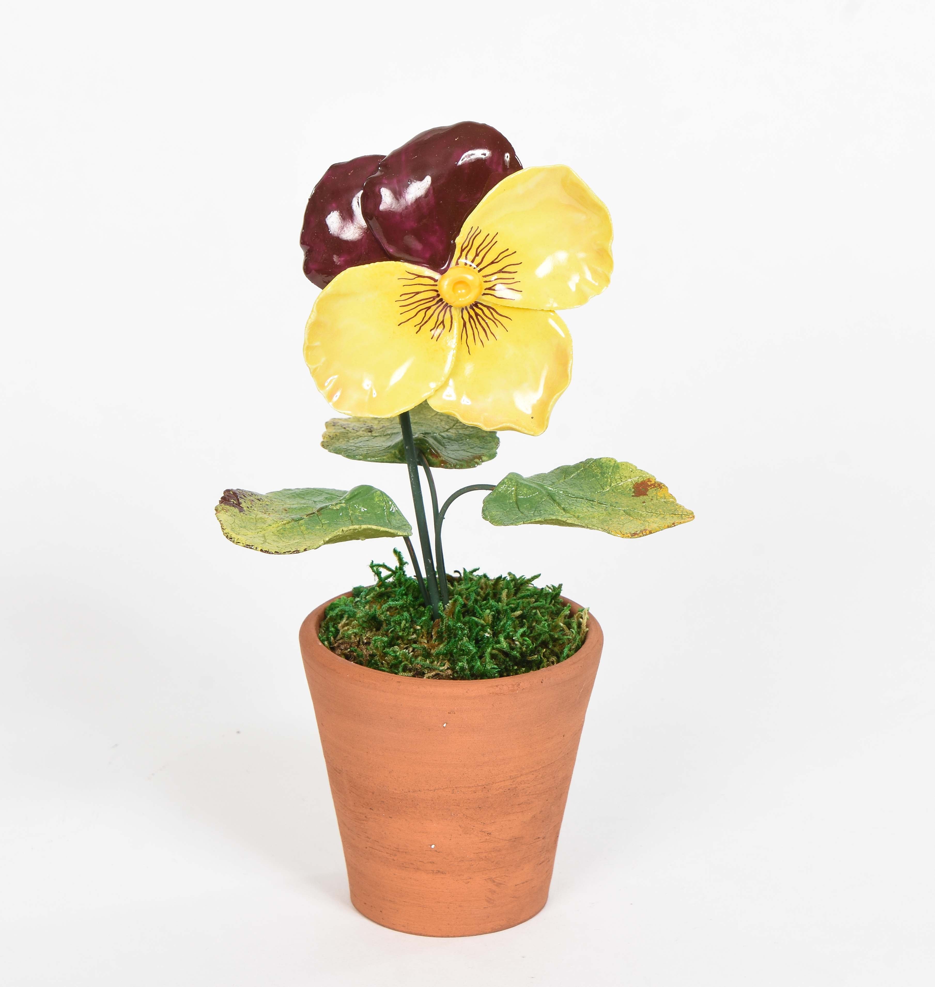 Porcelain Pansy