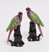 Pair of Porcelain Parakeets