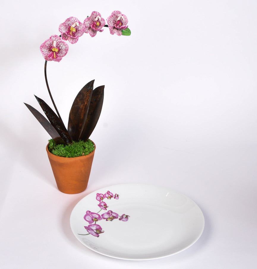 Orchid Plates