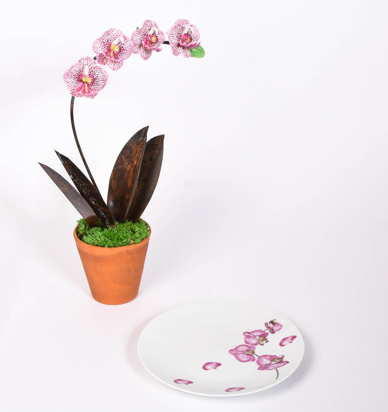 Orchid Plates