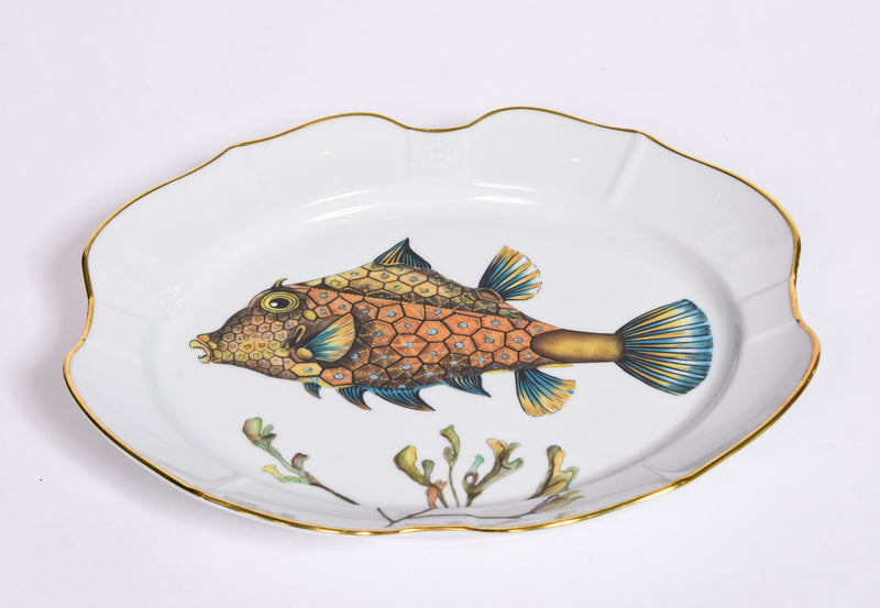 Deep Sea Boxfish Platter