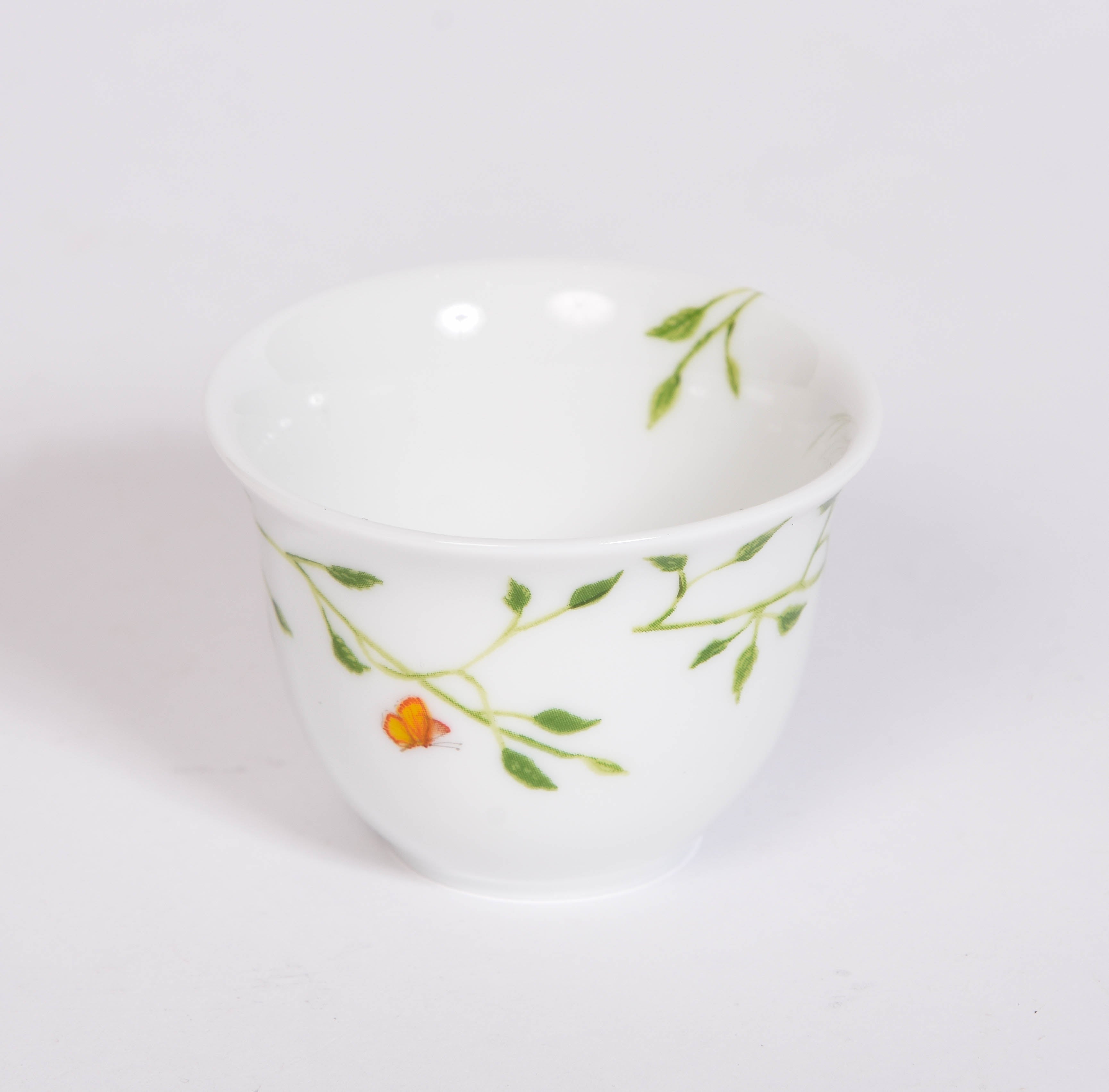 Histoire Naturelle Collection