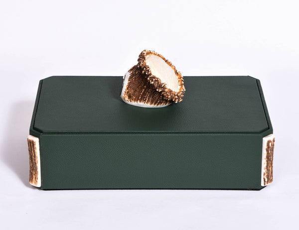 Lorenzi Horn Tidy Box