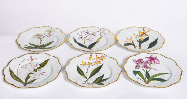 Set of 6 Histoires D'Orchidées Plates