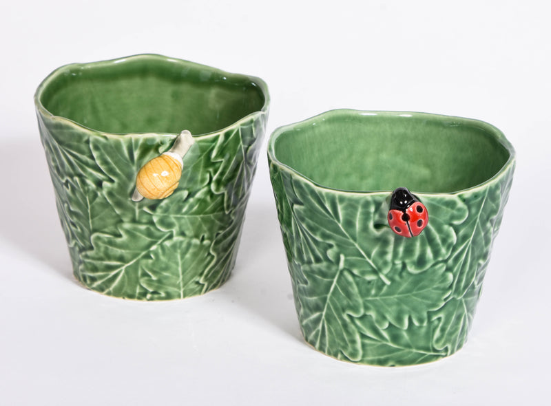 Ladybird and Snail Planters
